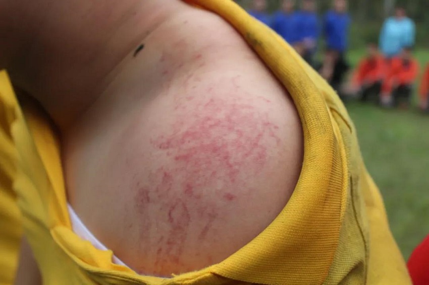 水思源——熔煉團隊、拓展未來!